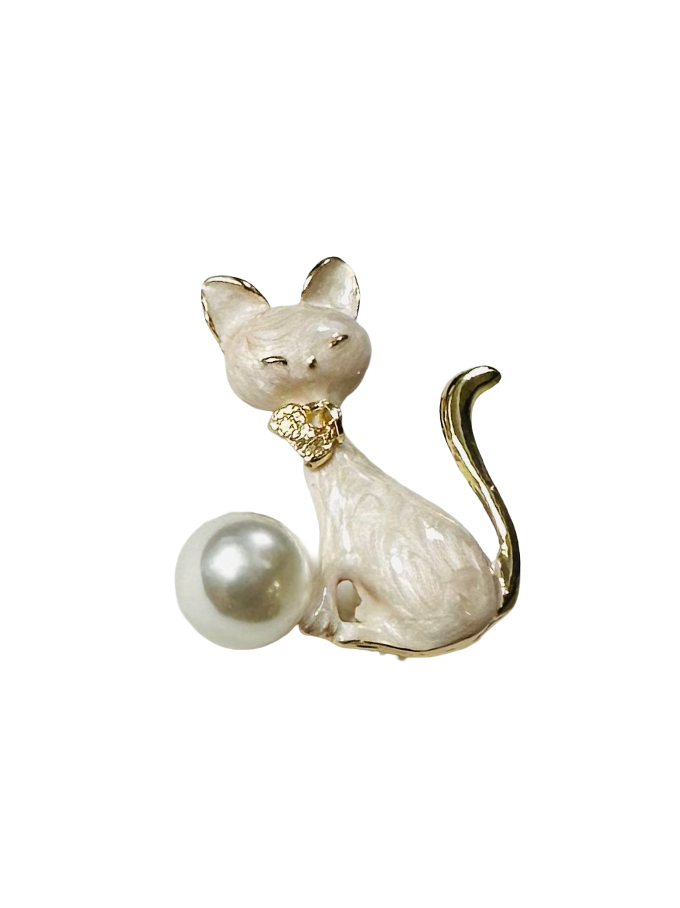 SPILLA GATTO