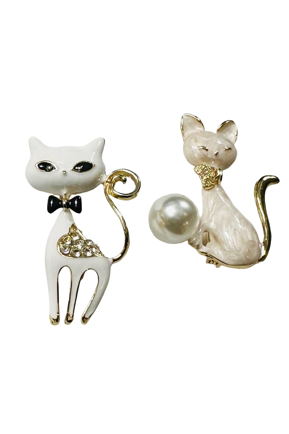 SPILLA GATTO